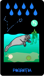 animal tarot: indolence