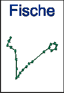 Sternbild: Fische
