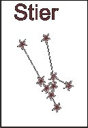 Sternbild: Stier
