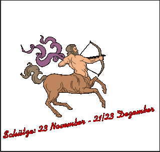 Tiertarot: Beschreibung des Schtzen