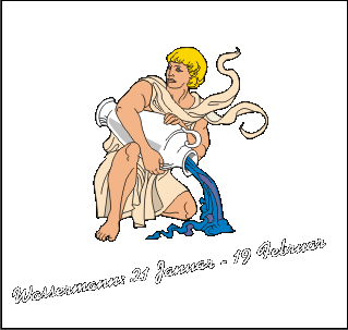 Tiertarot: Beschreibung des Wassermanns: Sternzeichen